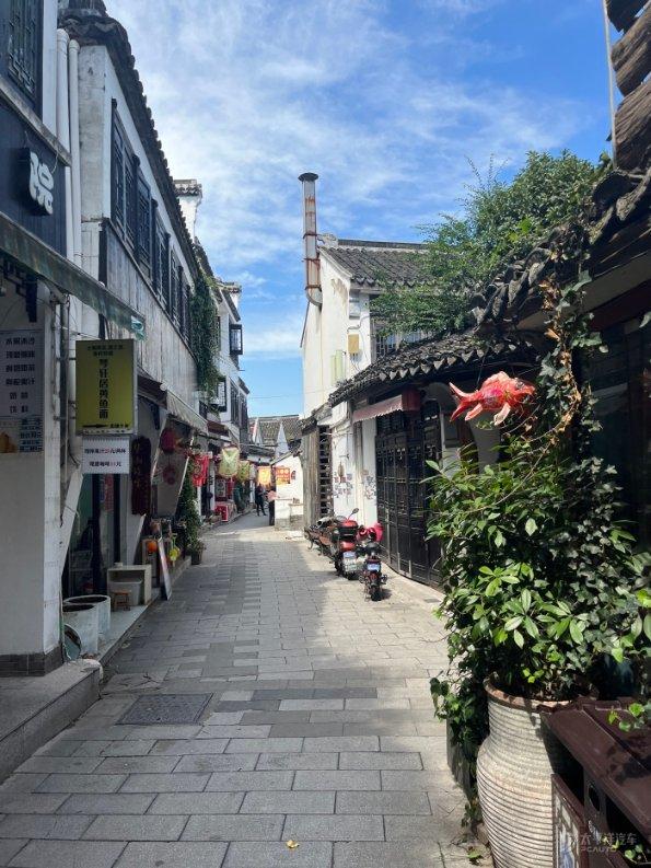 动物帮帮忙保卫家园